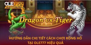 Cách chơi rồng hổ
