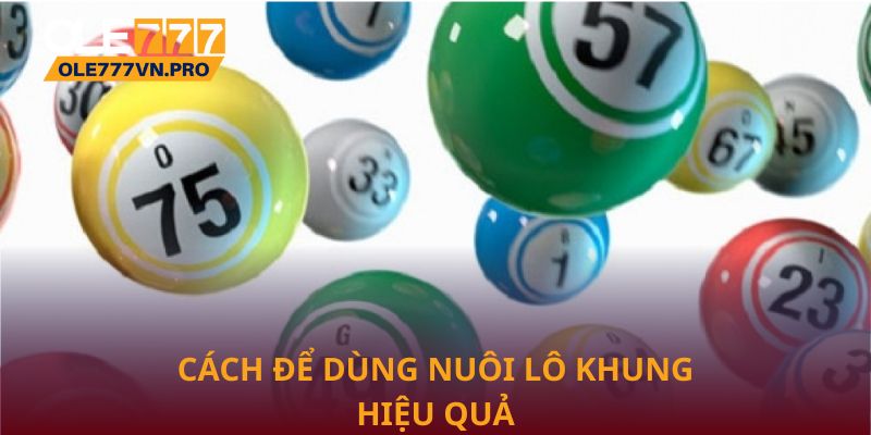 Nuôi Lô Khung Hiệu Quả Tại Ole777 Giúp Tối Ưu Chiến Lược 3 Cách để dùng nuôi lô khung hiệu quả nhất từ cao thủ