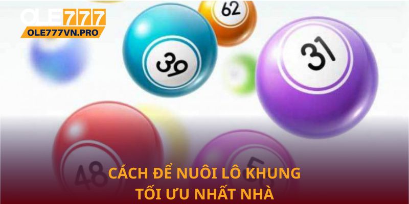 Nuôi Lô Khung Hiệu Quả Tại Ole777 Giúp Tối Ưu Chiến Lược 2 Cách để nuôi lô khung tối ưu nhất nhà cái Ole777