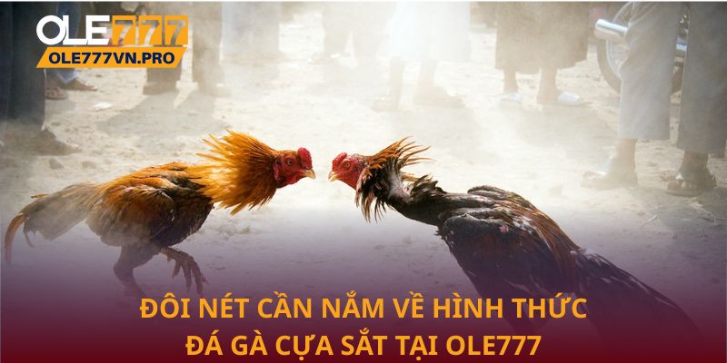 Đá Gà Cựa Sắt Ole777 – Sân Chơi Kịch Tính Cho Người Đam Mê 1 Đôi nét cần nắm về hình thức đá gà cựa sắt tại Ole777