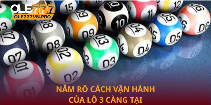 Chiến Lược Chơi Lô 3 Càng Hiệu Quả Tại Ole777 Cho Người Mới 2 Nắm rõ cách vận hành của lô 3 càng tại Ole777