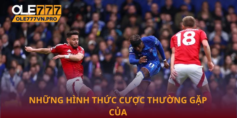 Chi Tiết Cách Đọc Kèo Thẻ Phạt Trong Cá Cược Bóng Đá 3 Những hình thức cược thường gặp của kèo thẻ phạt tại Ole777