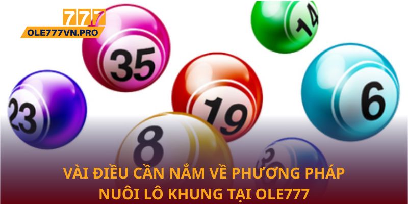 Nuôi Lô Khung Hiệu Quả Tại Ole777 Giúp Tối Ưu Chiến Lược 1 Vài điều cần nắm về phương pháp nuôi lô khung tại Ole777